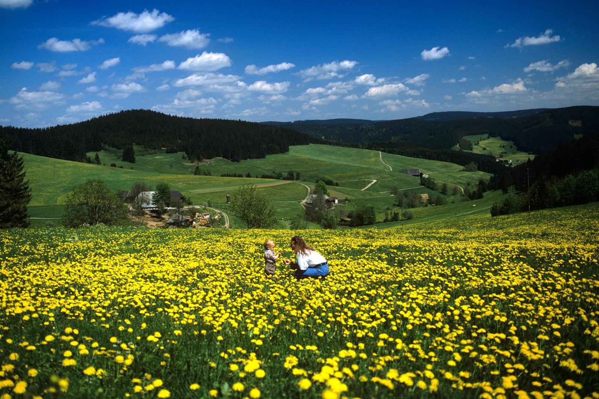 Hotel Waldeck Mit Restaurant "Florian'S" Feldberg  Exterior photo